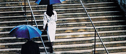 Umbrellas in the rain