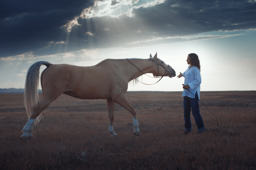 Leadership Lessons from a Horse’s Mouth