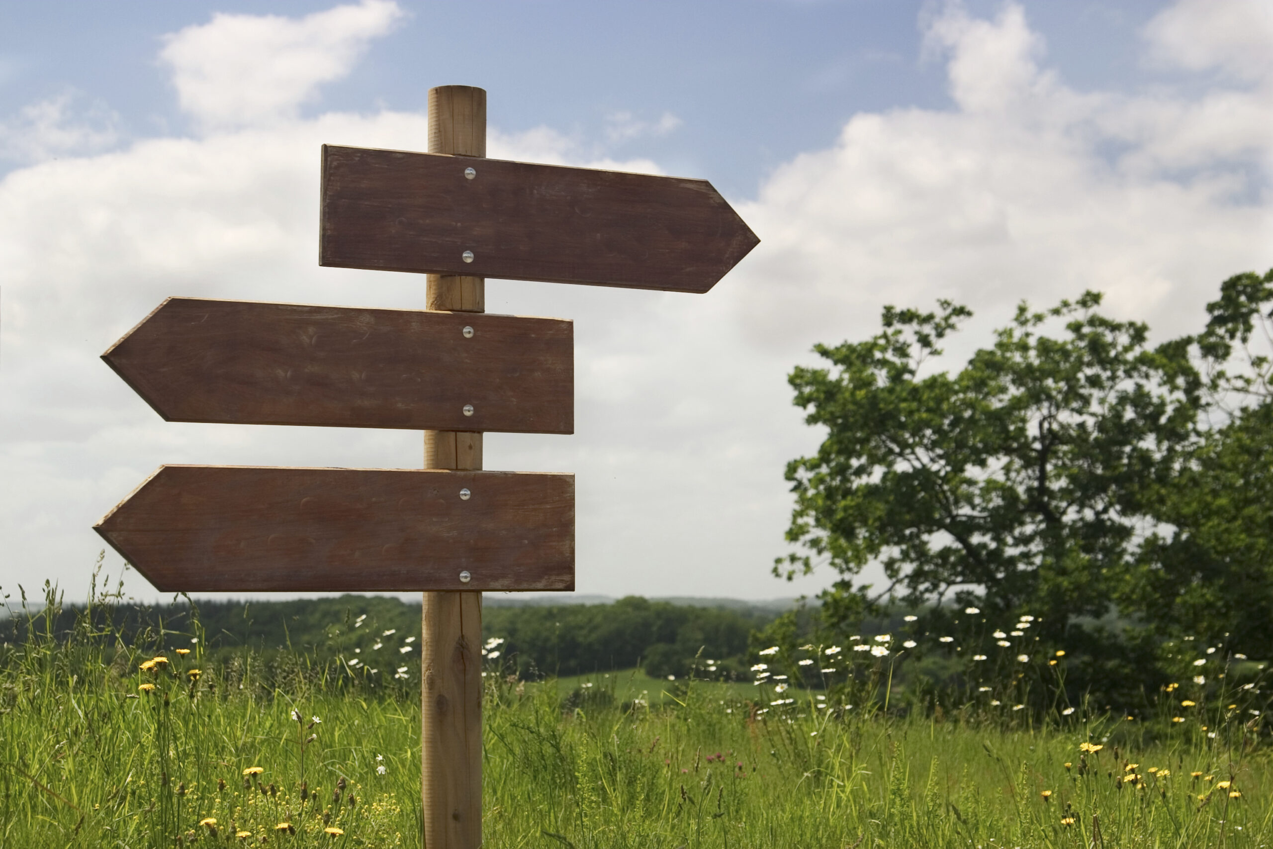 Cross Selling: Part 1 of 3 – What’s at Stake