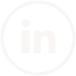 LinkedIn icon