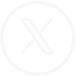X icon