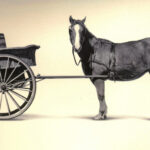 Blurring the Line Between Sales and Marketing