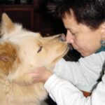 RIP Sammy the Dog