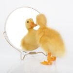 Making Excuses To Strangers Is A Sign Of Self-Orientation