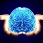 Are You the CEO of Your Brain?
