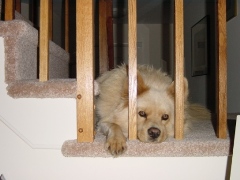 fEBRUARY 2004 004 for blackberry