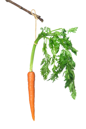 Carrots and Sticks and Money