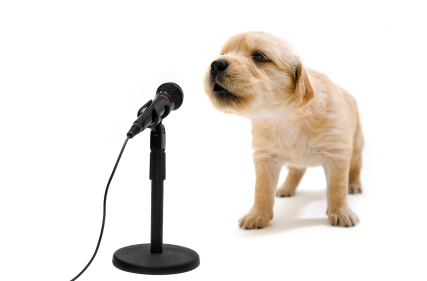 Speech-to-Text: My Killer Apps Part 2
