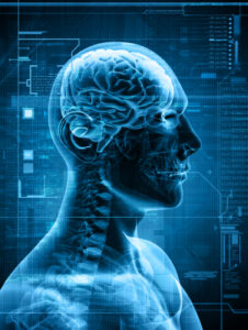 The Science of Business