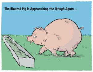 Bloated Pig Approaching Trough